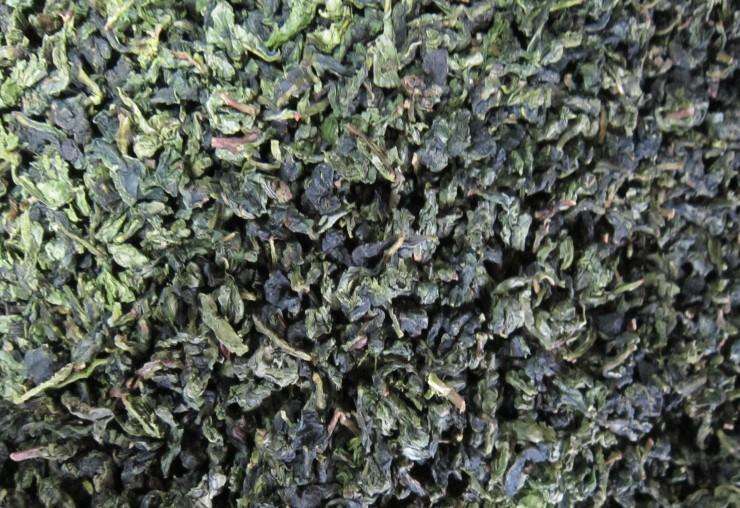 展品青茶参加长春茶博会 展品青茶参加长春茶博会