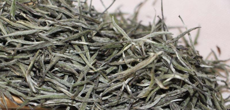 来到2019年长春茶叶博览会看白毫银针 来到2019年长春茶叶博览会看白毫银针