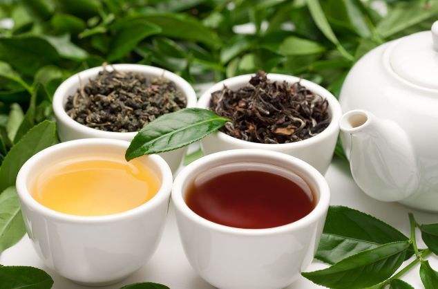 长春茶博会 长春茶博会